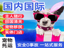 哈密伊州机场快运国际宠物托运 【国
